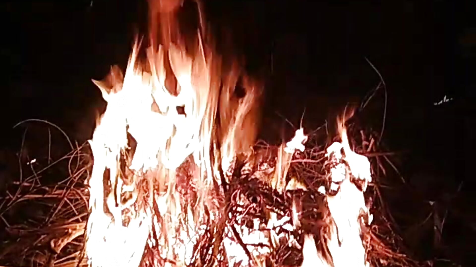 VID_20240104_225236 - video di Romantic_boy007@xh