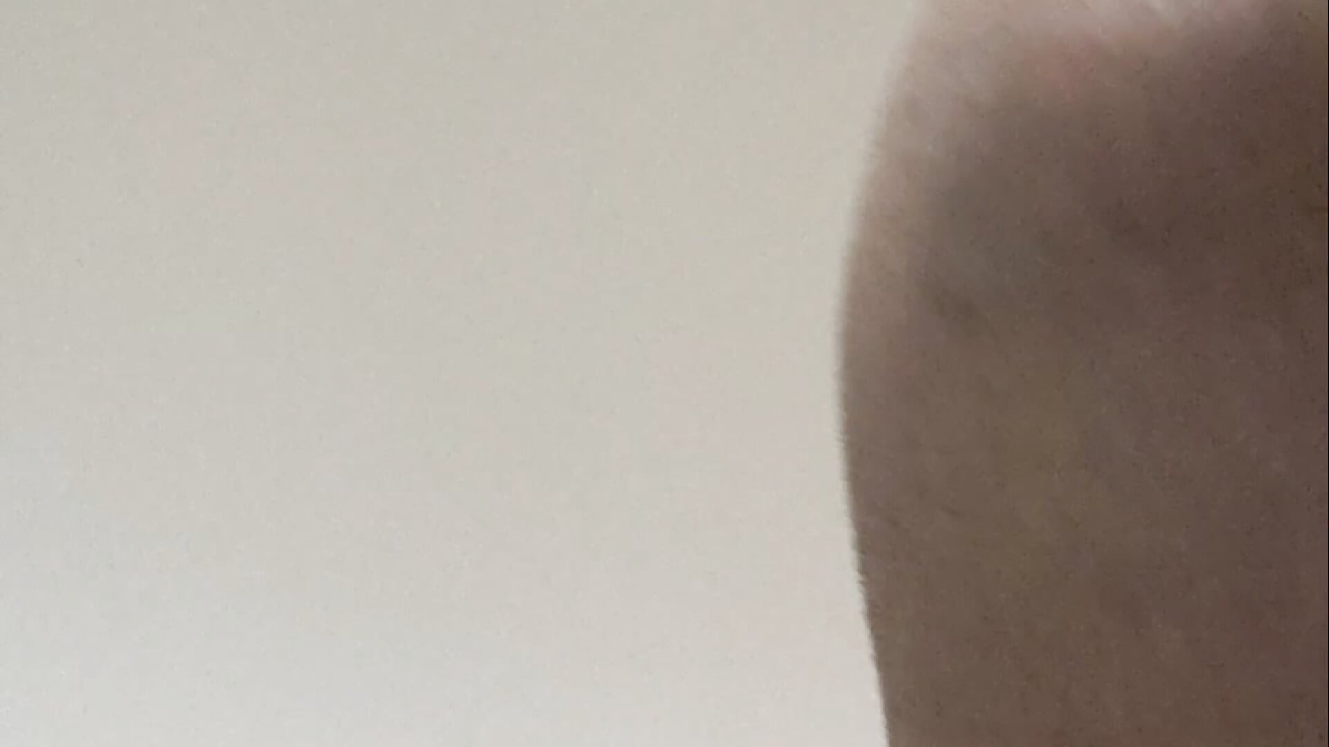 2618