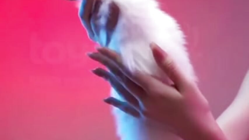 Sexy toy - video by Genz_Student cam model