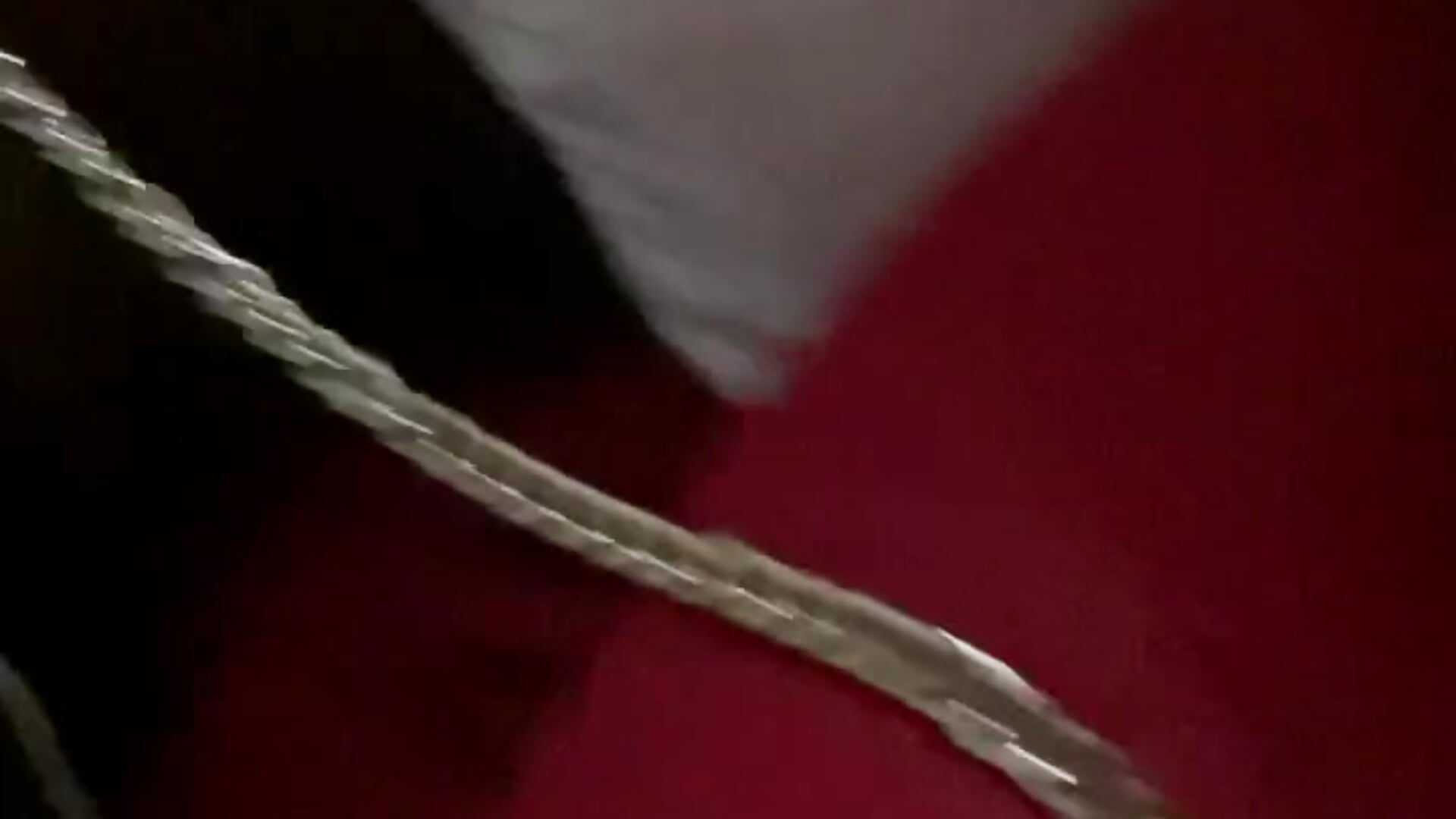 leash