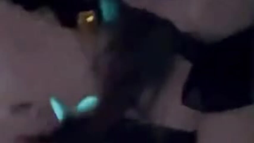 :) - 視頻由 MoziRixis 主播提供