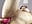 How naughty, she plays with her ass until she squirts in her legs - vídeo de Nicollemays