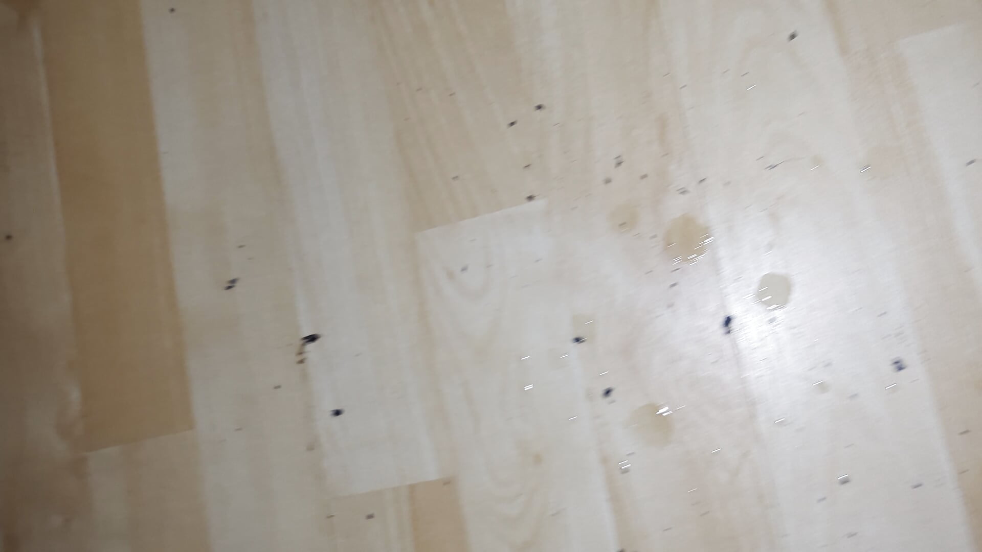 Cum all over floor - video by Pumped_Gymnast cam model