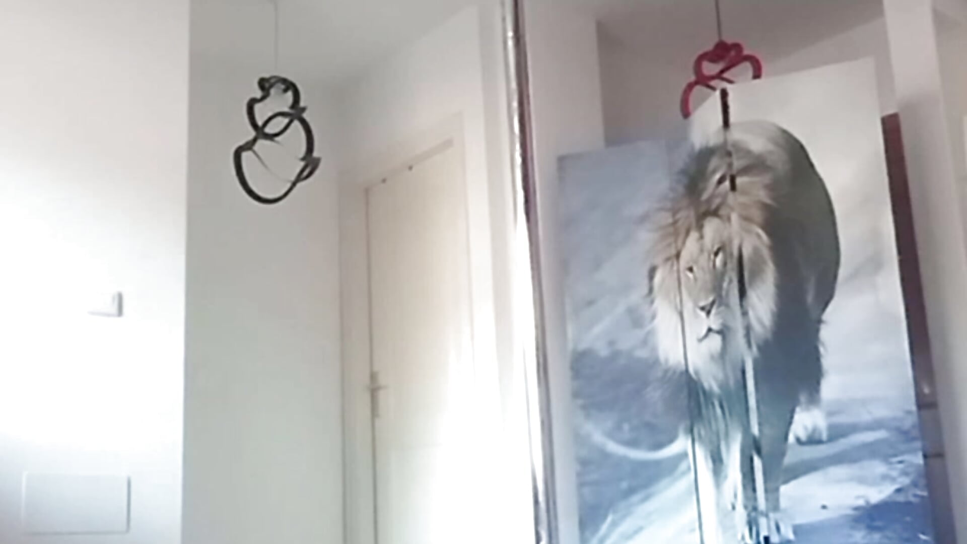 Fluyendo - video by Strip-Nomy cam model