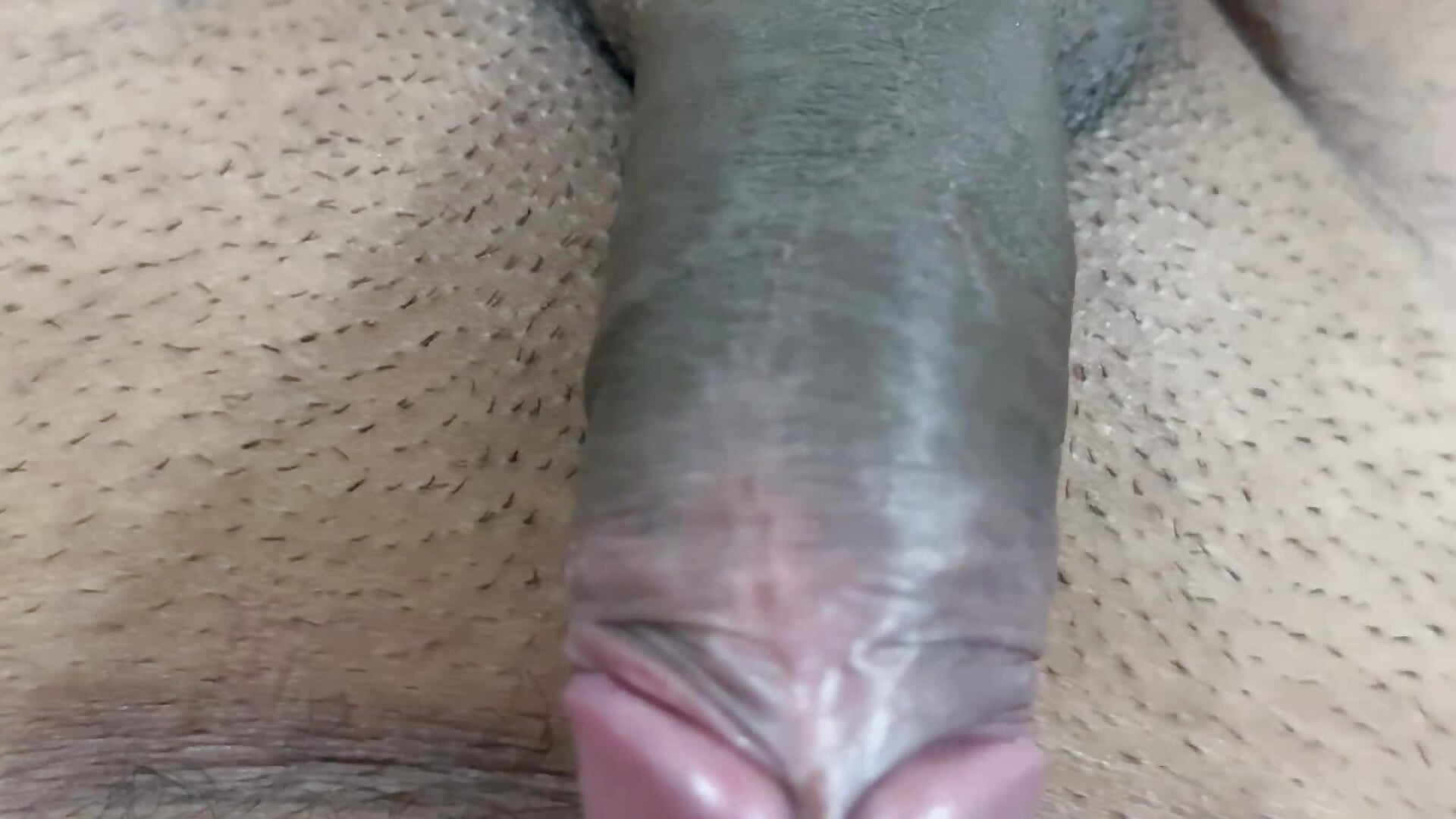 Horny Cock 💋