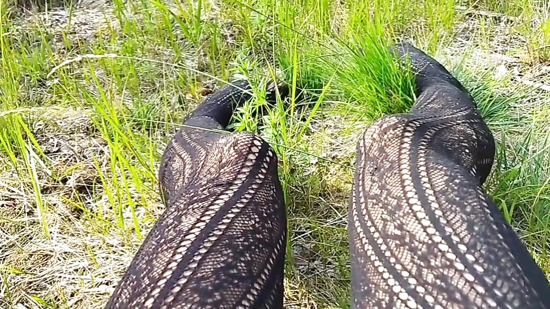 Public nude pov