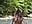 I'm naked on vacation - video by Charming_Ritta cam model