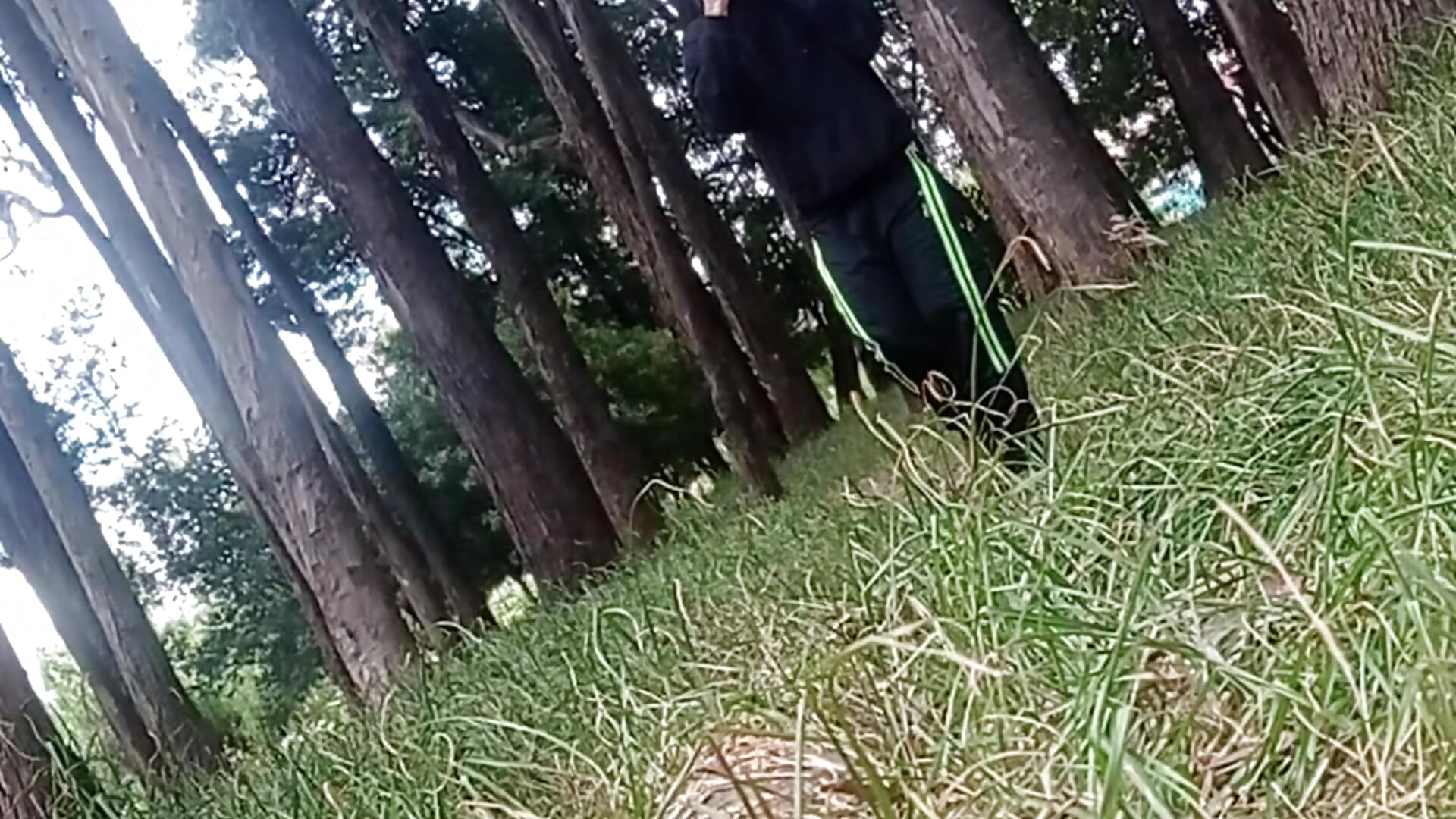 Maniac in the woods