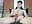 masturbation, lovens and cum so strong that it reaches my hair - vídeo de la modelo de cam Adams_ricci