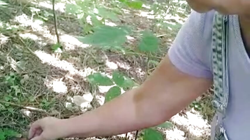 I found a mushroom🍄😊 Public Show - video by Celine_Faer1 cam model