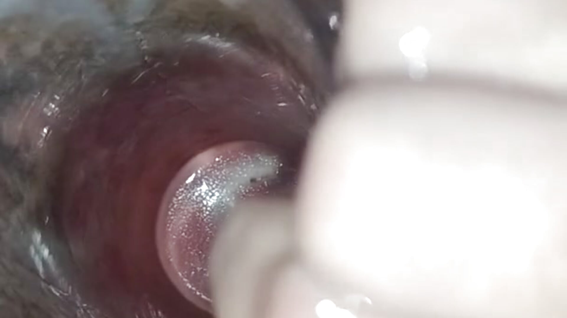 a glass in my ass to fuck an a flashlight - video by Girl_squirting cam model