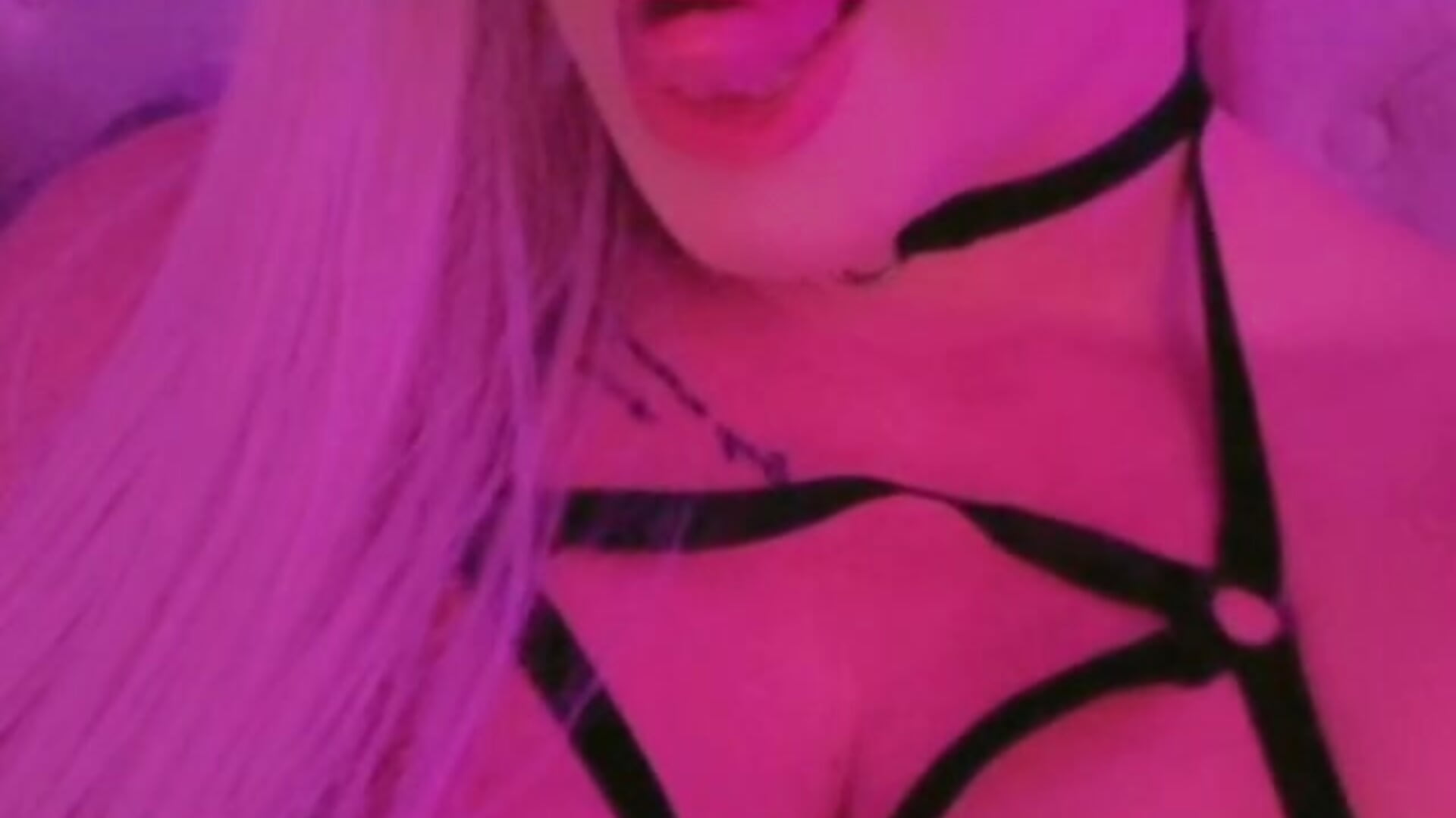 Cat - video by Kootek cam model