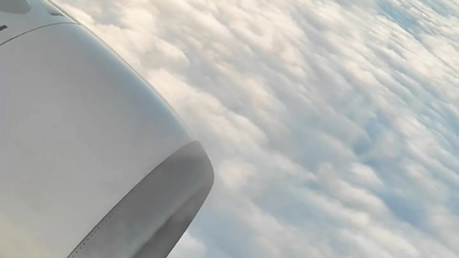 323185259880579298 - video by MimiYolaVi cam model