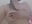 Slow-motion shower boobs 🥵💦💦 - video by anyalikestosuck cam model
