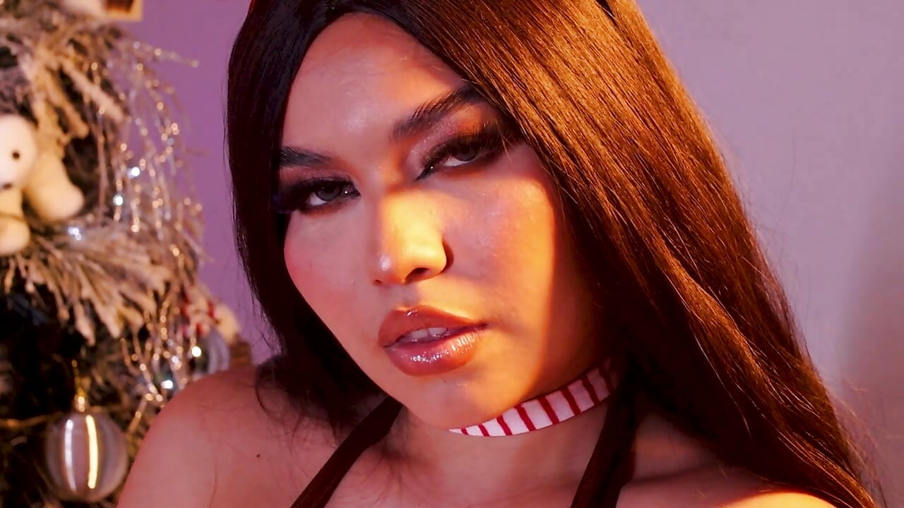 Merry Christmas 🎄✨