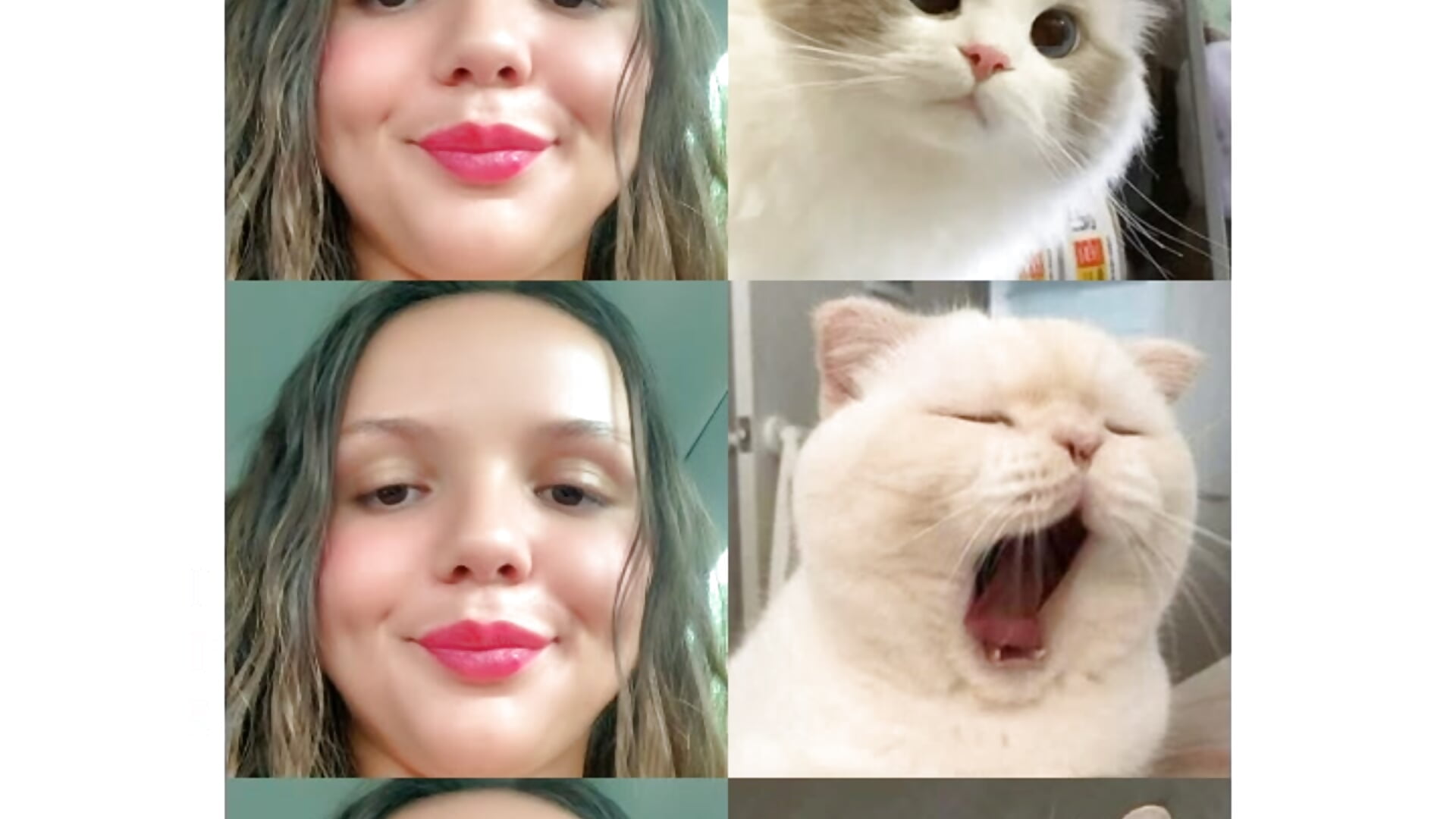 😂😂let s laugh, is healthy! - video od modelky/modela CelesteBailey