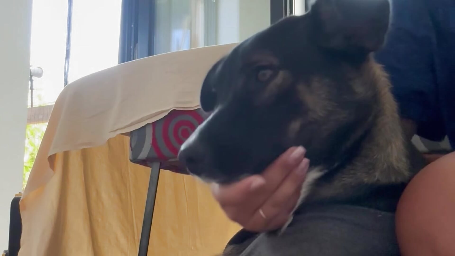 Morning love moments with my Blacky😍 - video by CelesteBailey cam model