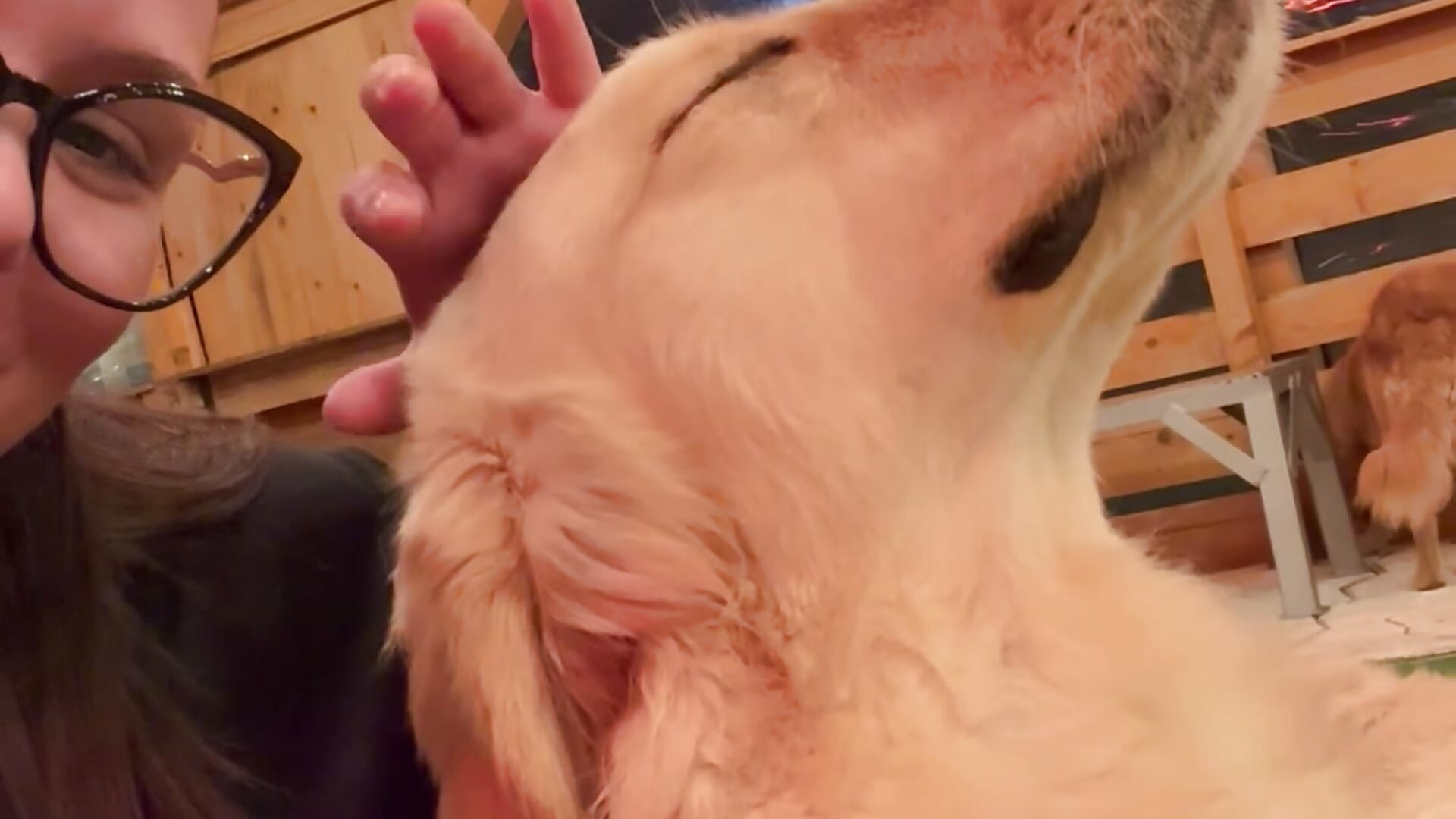 She loves me🥰 - video od modelky/modela CelesteBailey