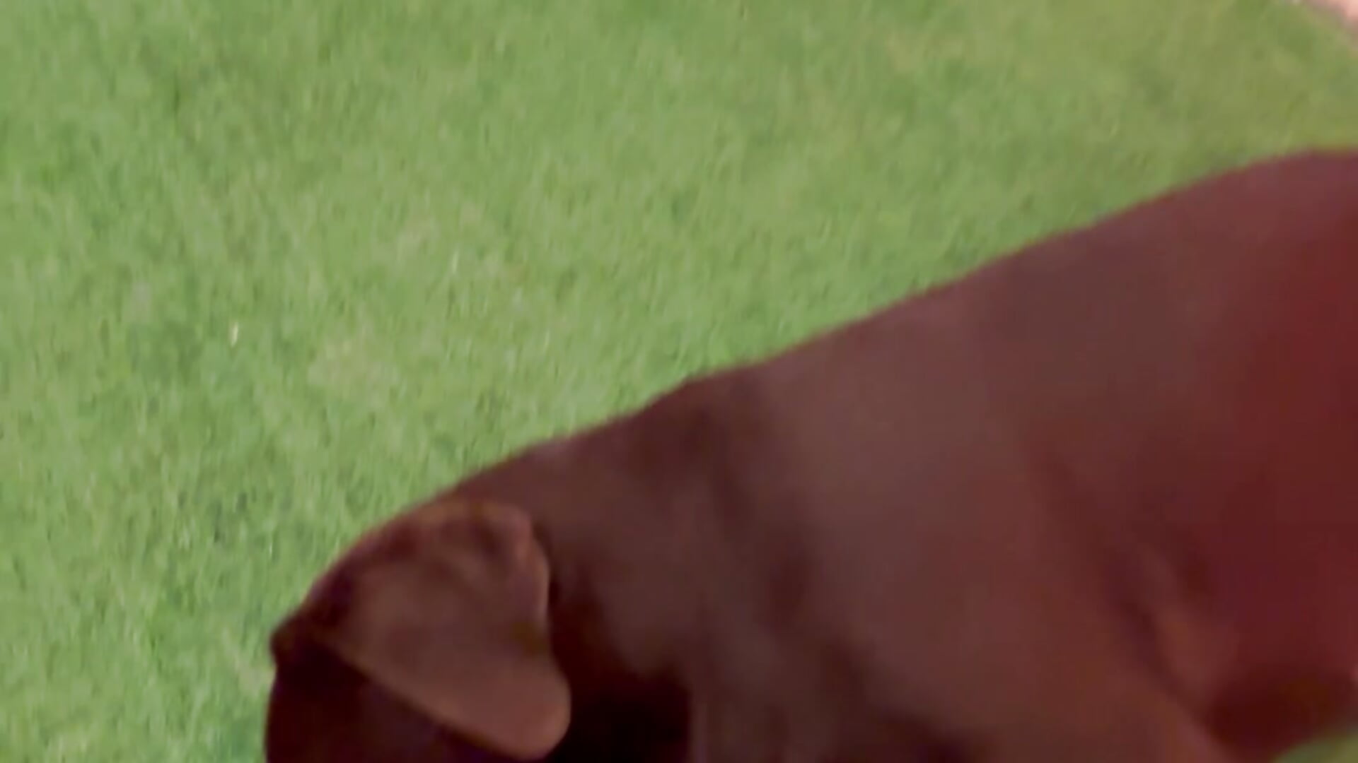 I was in heaven 🥰😍😍😍 - video od modelky/modela CelesteBailey