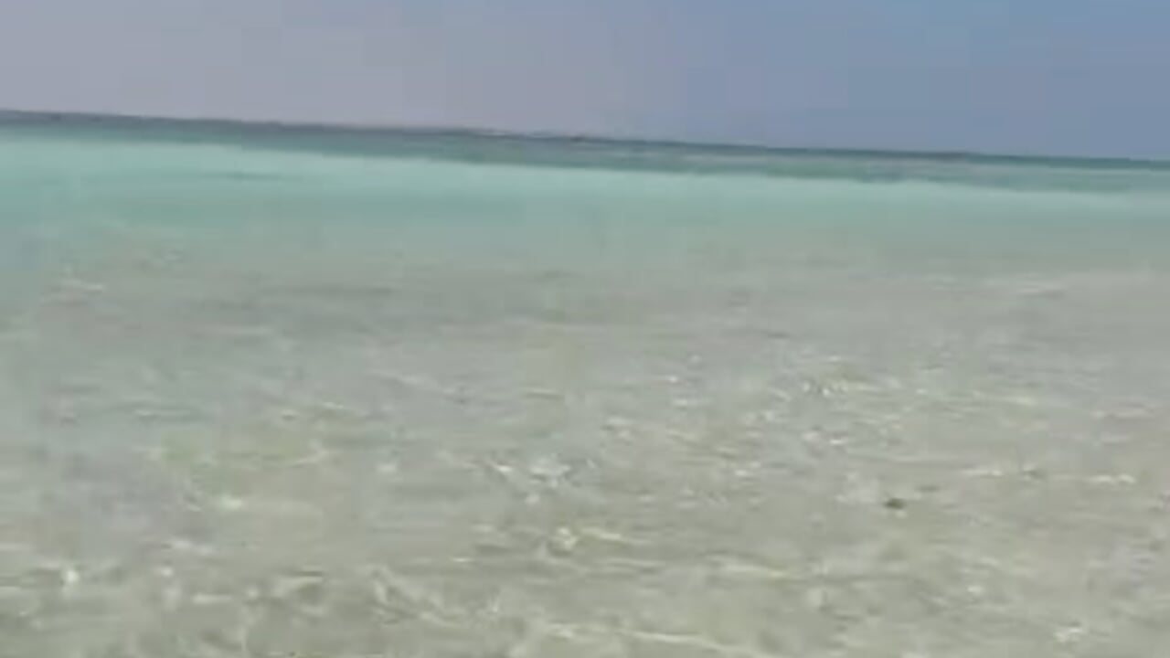 Miss this - CelesteBailey 캠 모델의 동영상