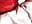 I´m ready for San Valentine´'s – video od webkamerové modelky Rosalie_vega