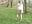 Stripping Outdoors! - video by danigirl866 cam model