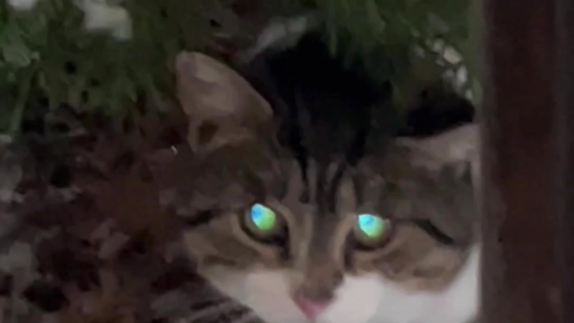 One day of winter - video by Sabrina_Waiker cam model