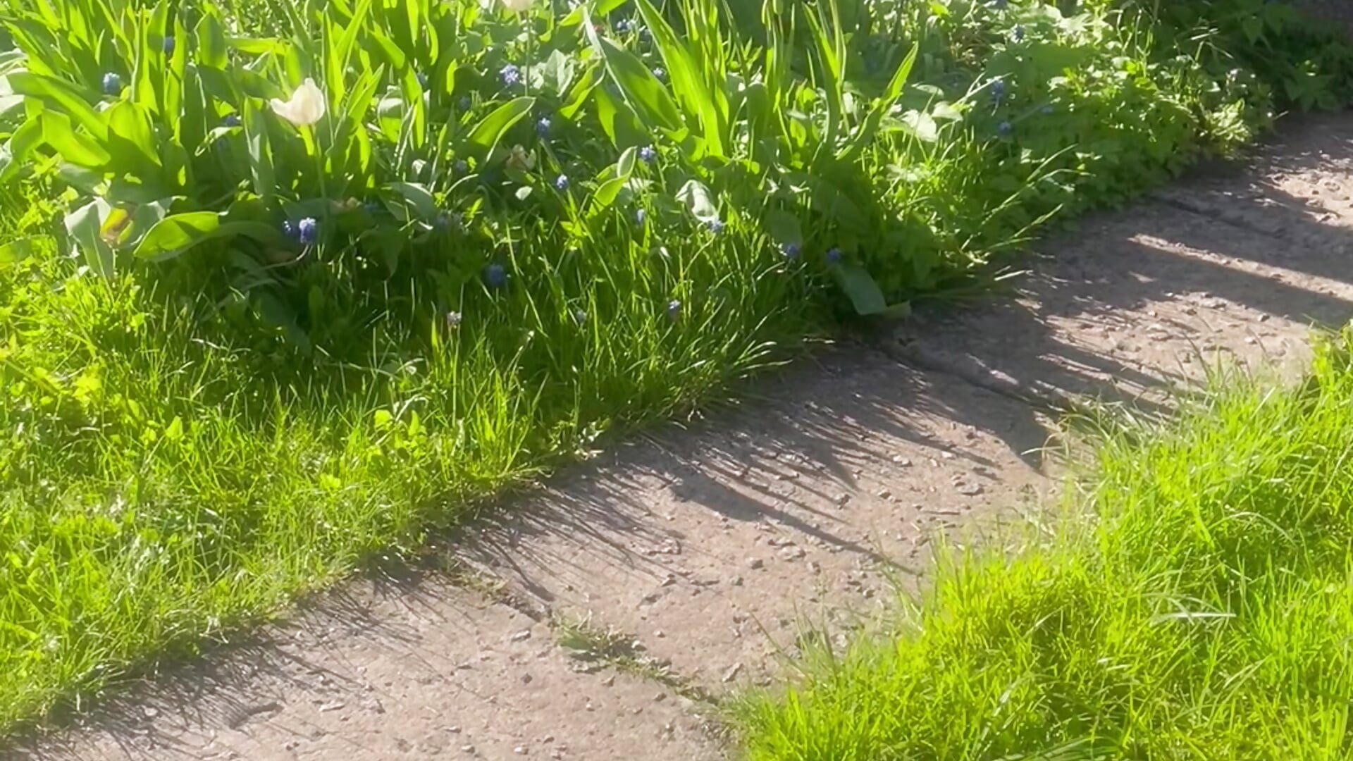 Тишина - video by Sabrina_Waiker cam model