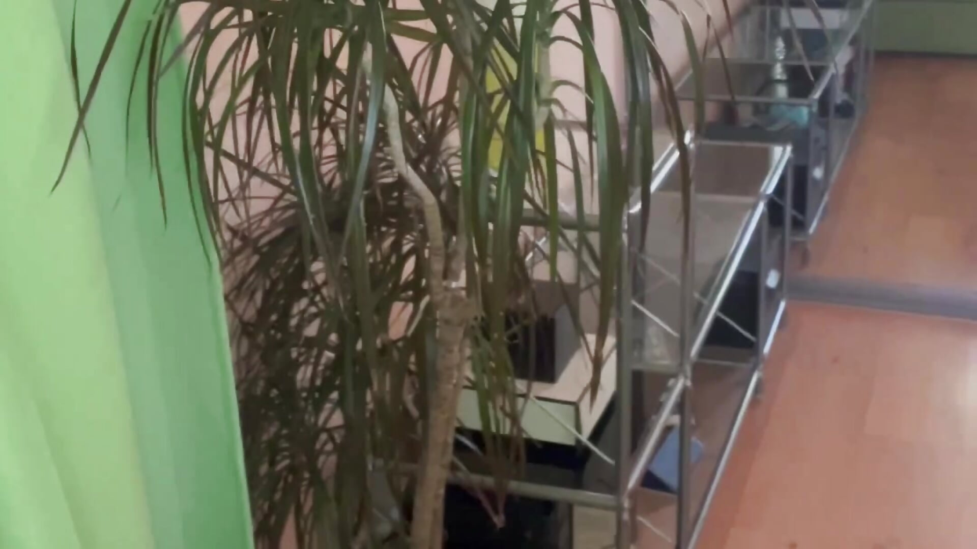 New love😜－カメラキャストのSabrina_Waikerの動画