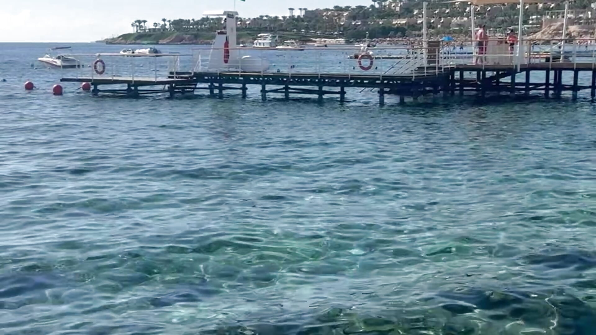 💕💕💕🩷 - vídeo de la modelo de cam Arina_Bloom