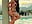I'll wait for you at the pool, my love - video by HOT_LADY_777 cam model