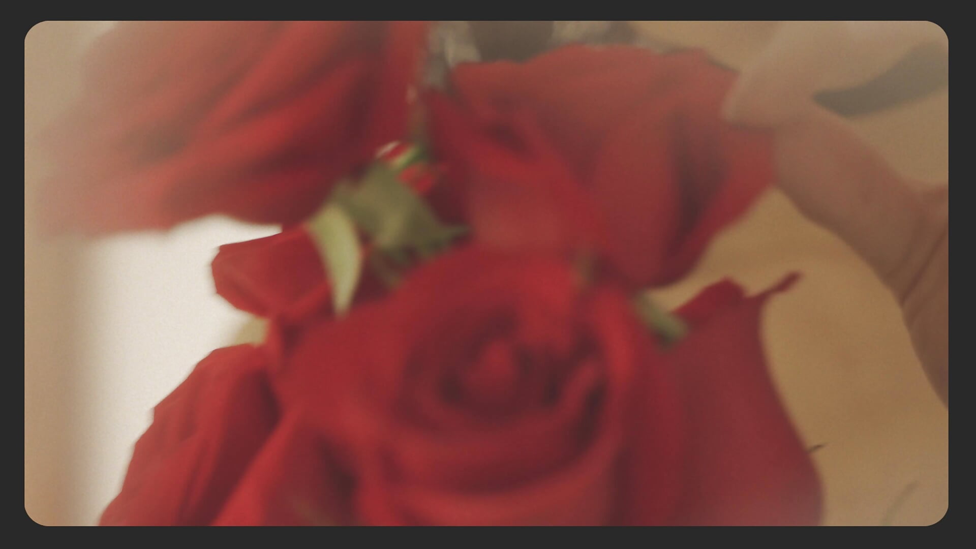 LA VIE EN ROSE