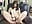 Cock Cage Orgasm - video by Linzy_19 cam model