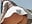 Twerk and pussy flash at the park - vídeo de la modelo de cam Bigbuttbrooklynn