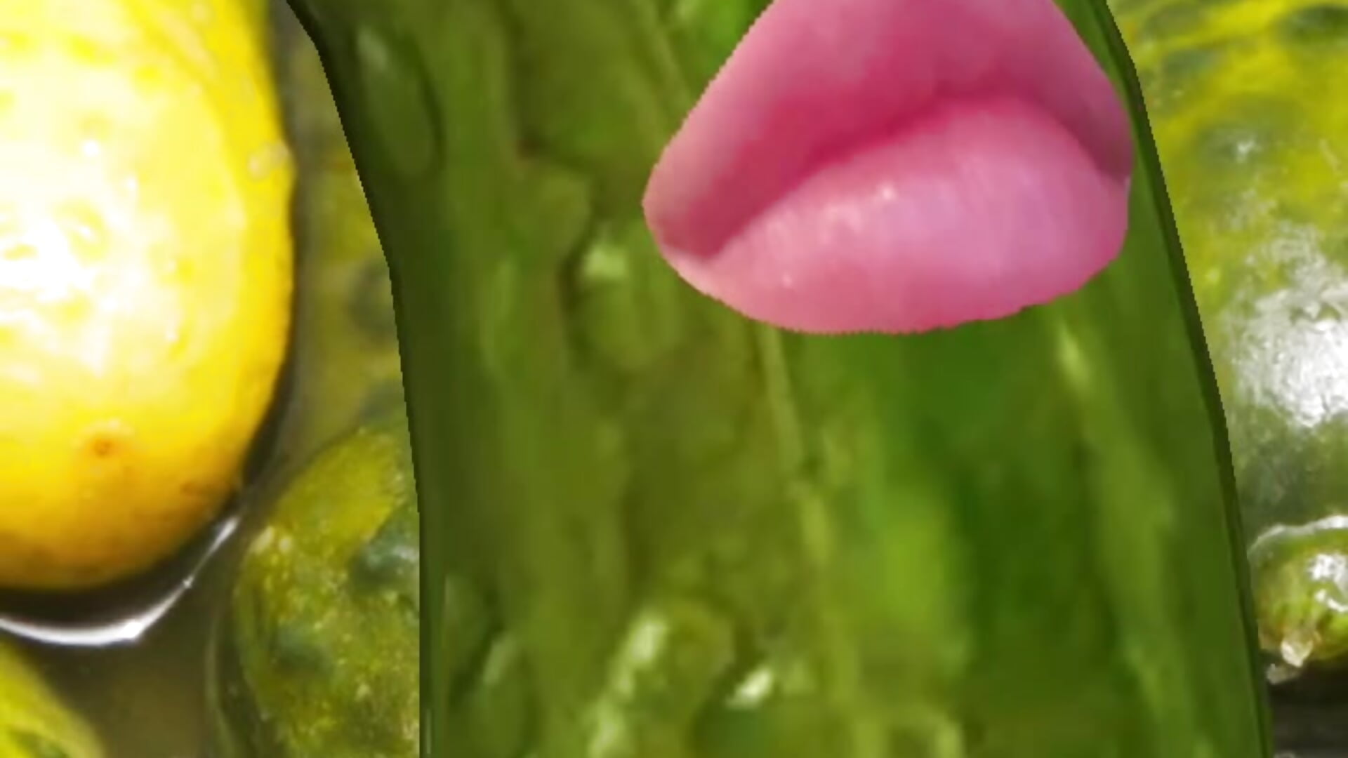 hey guys where is my activity) - video by Patricia_Cox cam model