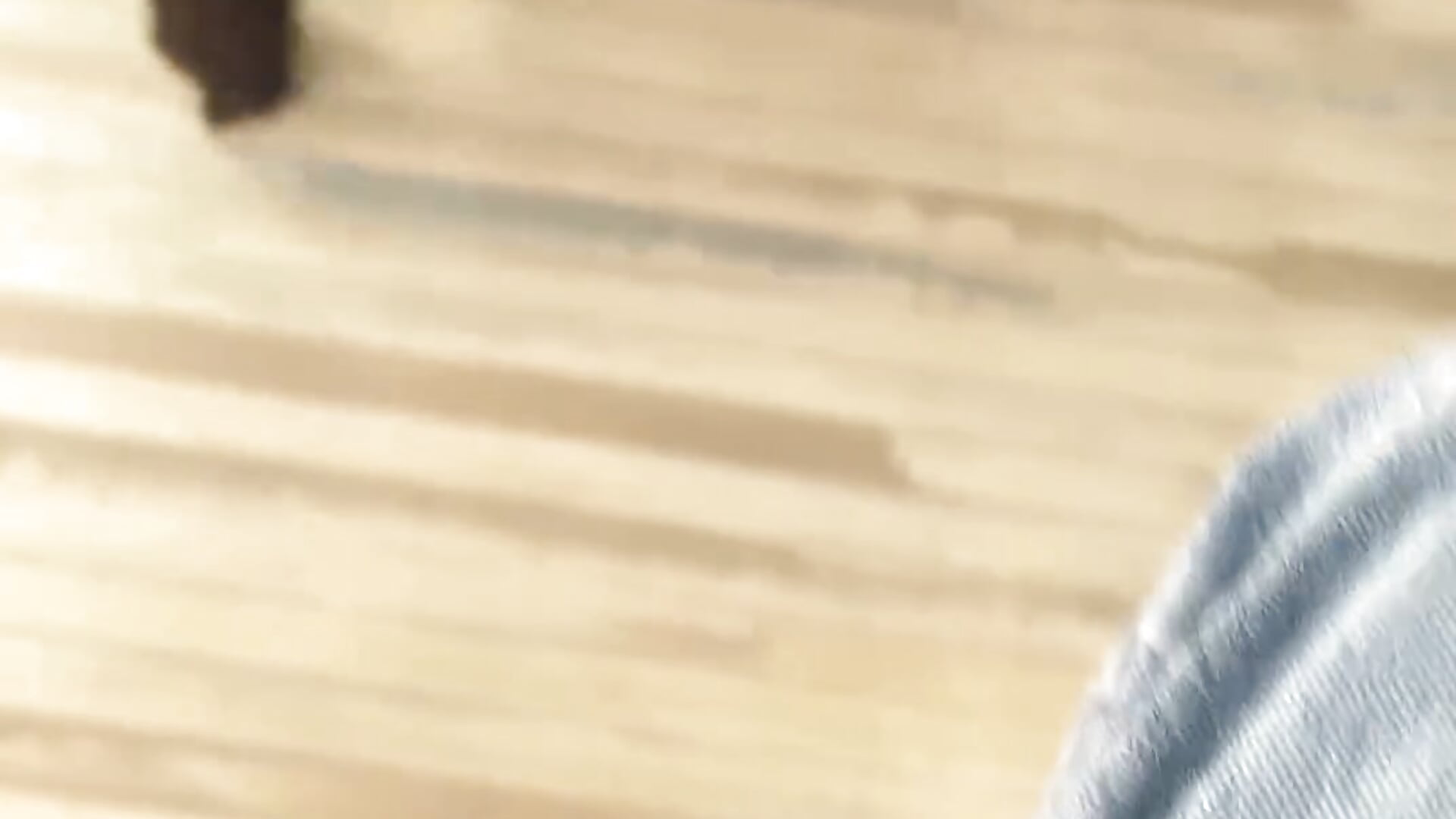 my friend's cute dogs - video by Patricia_Cox cam model