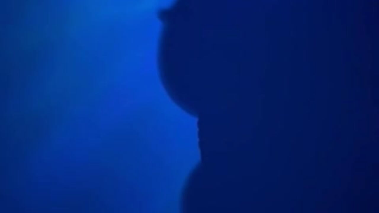 RICH AND BIG MELONS 🍋🍋 - video by Danielavegax cam model