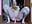 riding on a big dildo in the ass pussy with oil orgasm - FREYA_- 님의 동영상