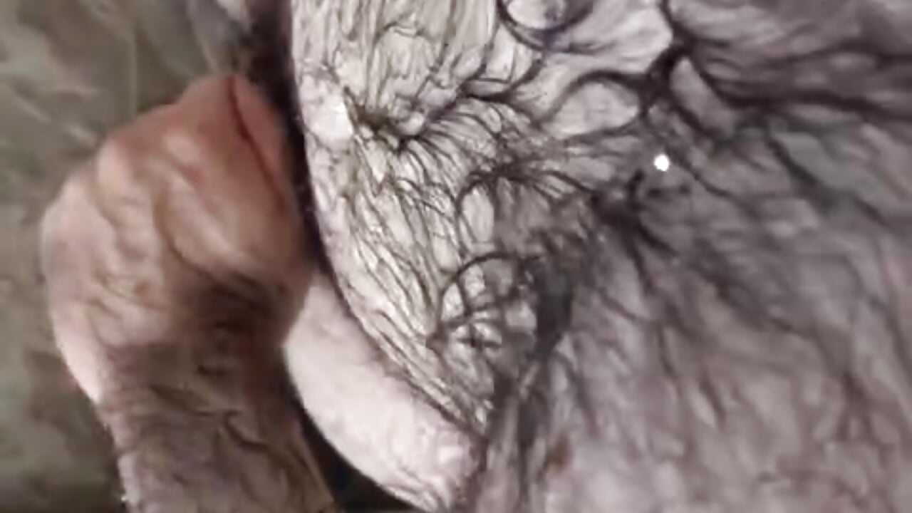 Wet fur on shower POV!!!!