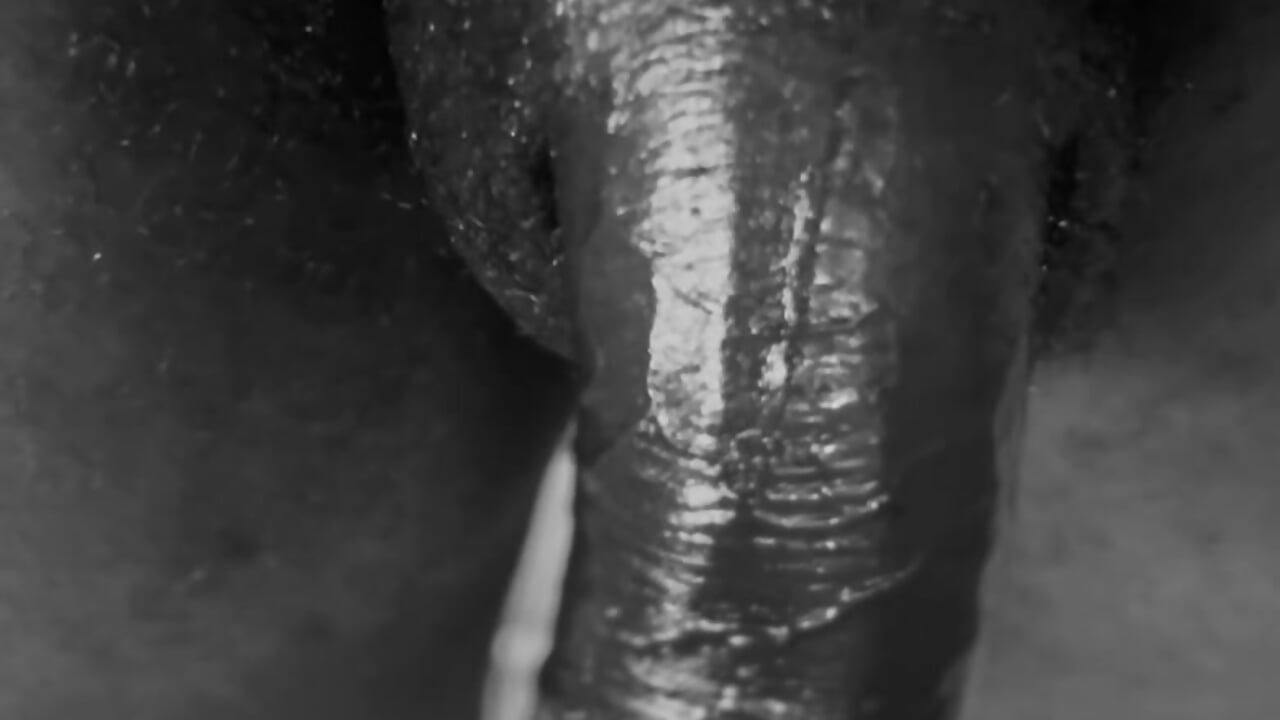 profile-intro-video-1669946498 - video by Tallbbc5301 cam model