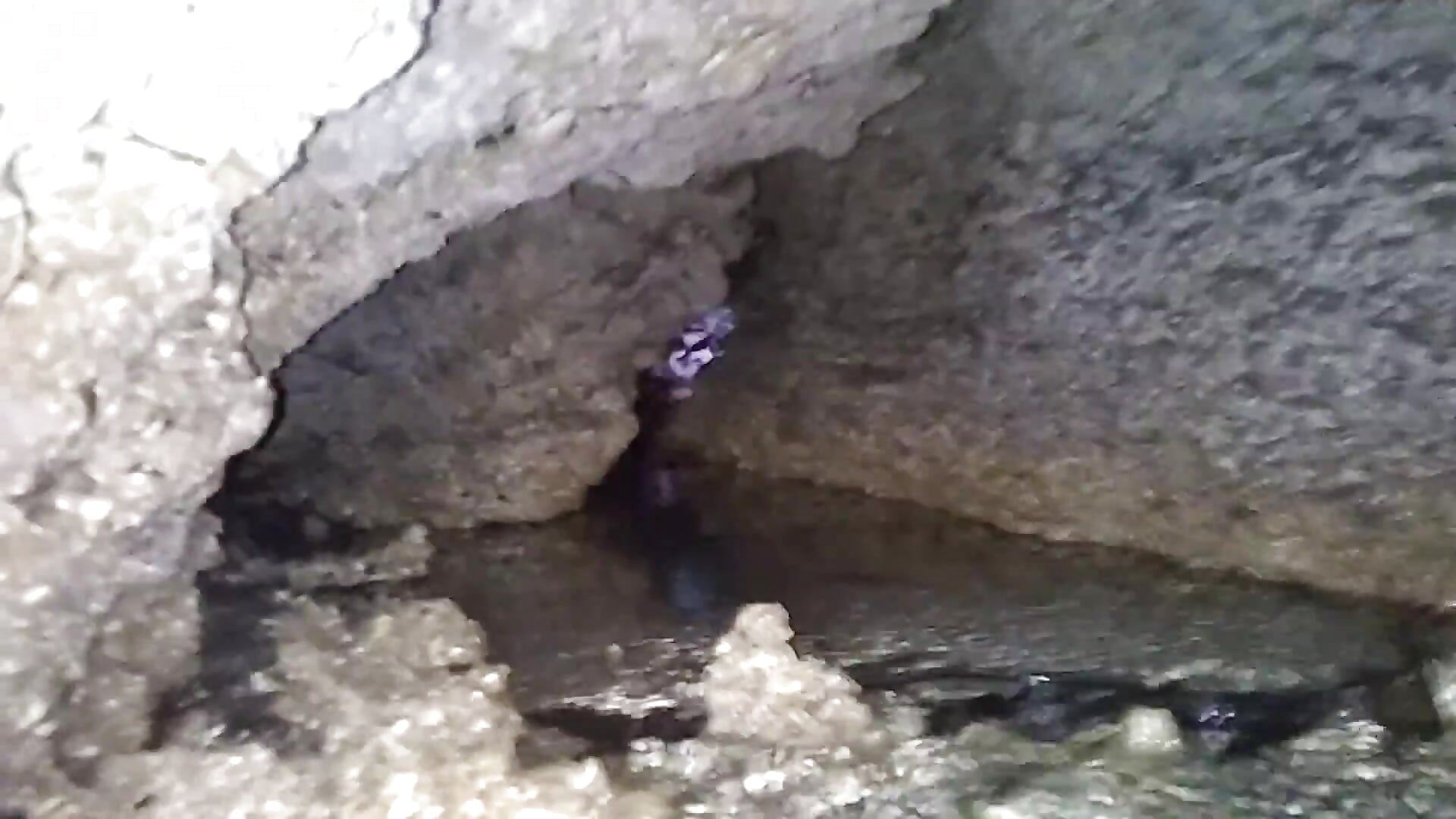 Just a adventure - video by Woodywoodsup1 cam model