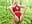 OUTDOOR USER FUCK - video by Kate-monroe cam model