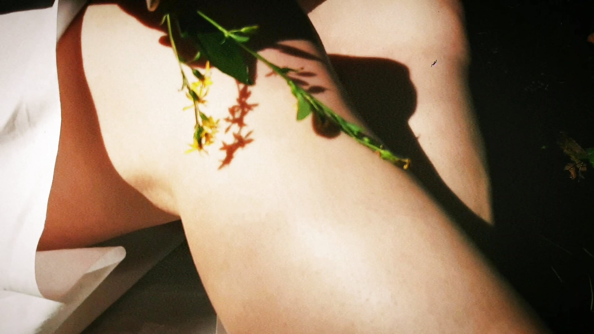 forest nymph– Olivia_Munk kameramodell videója