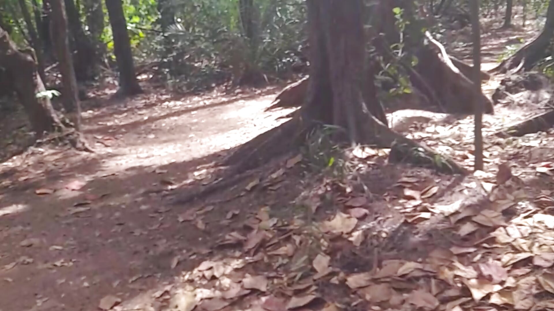 20230319_141243 – video od webkamerové modelky Kamdollie