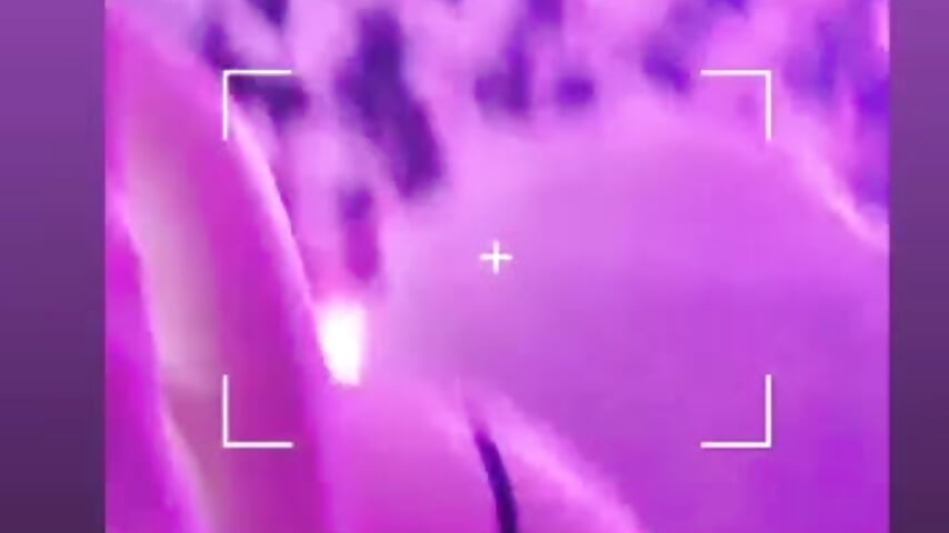 Im Curvy - video by _dollkendra cam model
