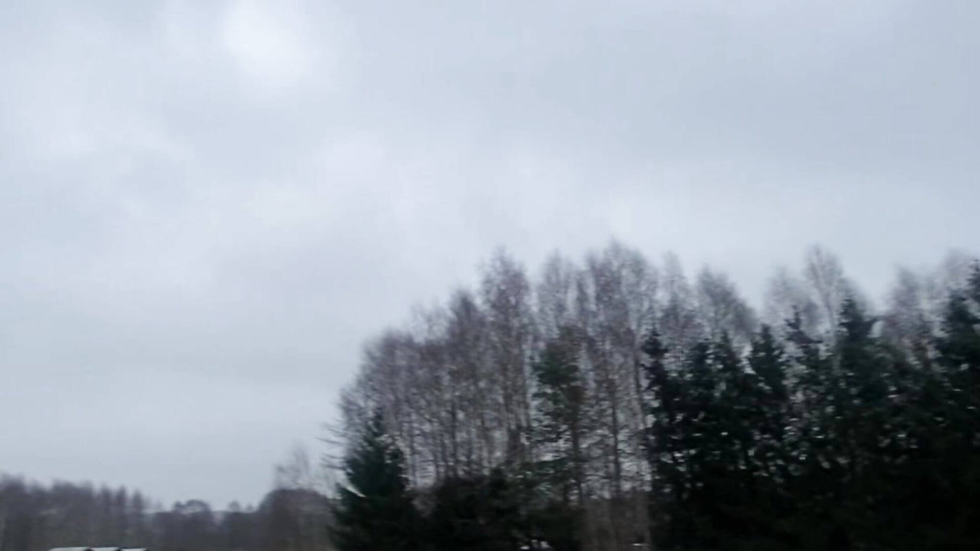 IMG_3462 - video od modelky/modela El_pepa_