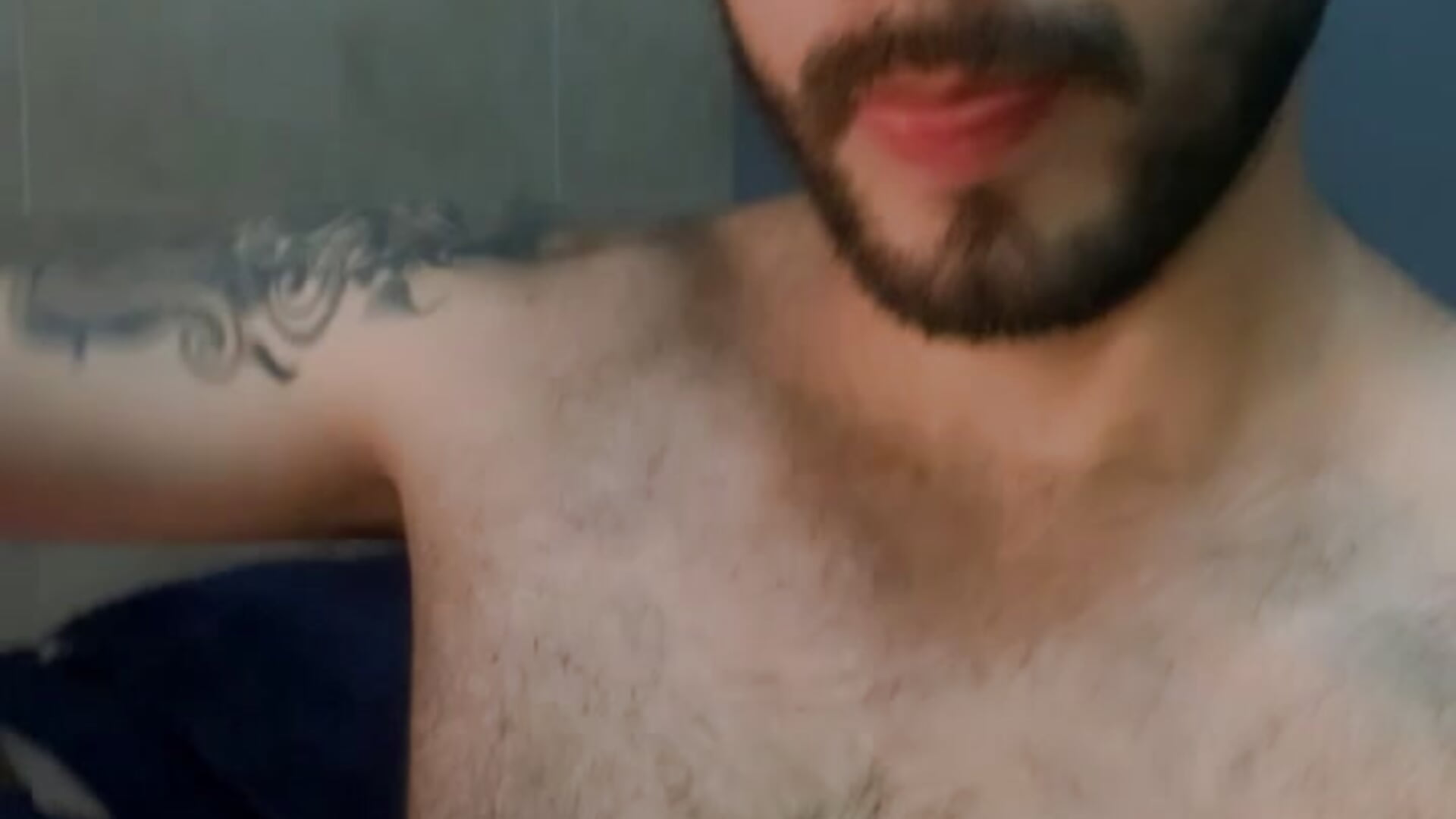 recorded-521786404978 - video by Prometeo-grizzly cam model
