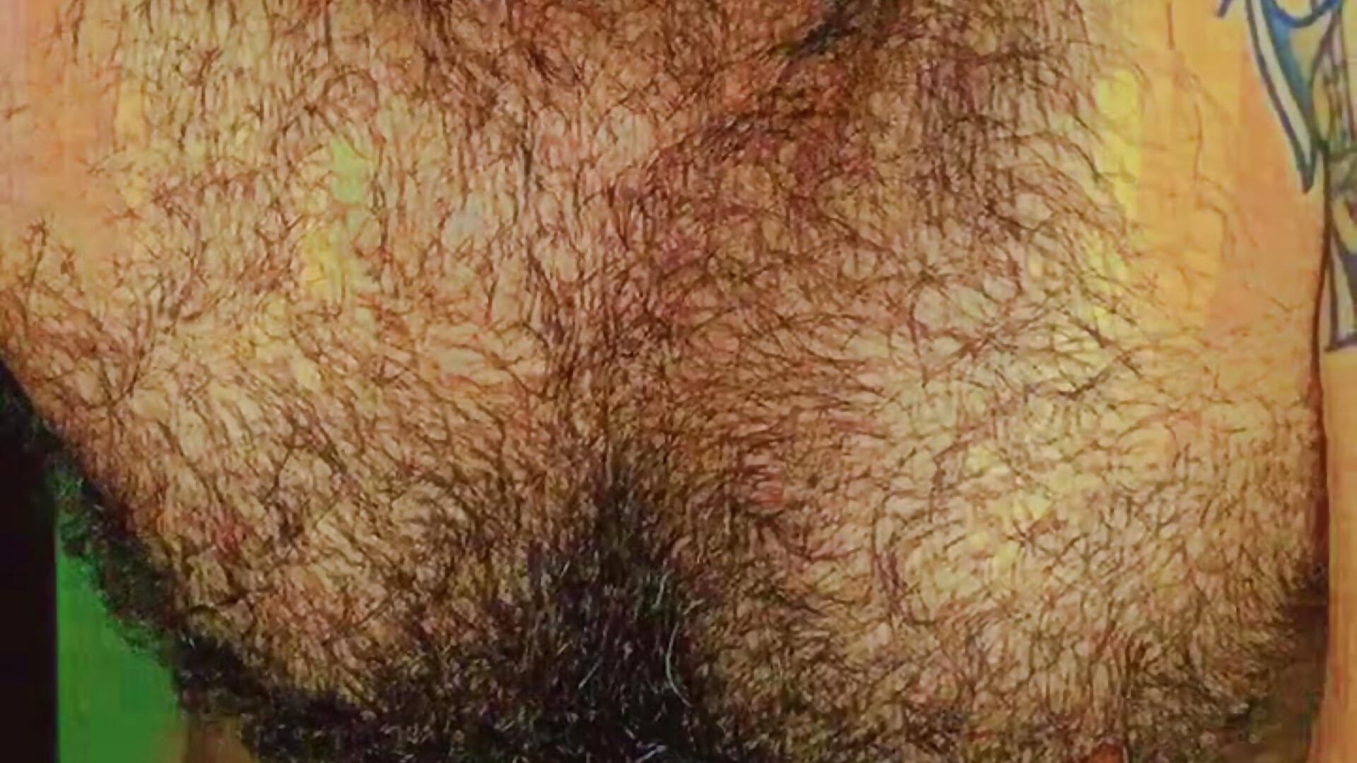 6878ad82dddd4cde978cfcf10aacd8e7 - video by Prometeo-grizzly cam model
