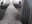 f77c6899-270a-4dba-8490-d651f8ea837b - video by SahoryHorny cam model