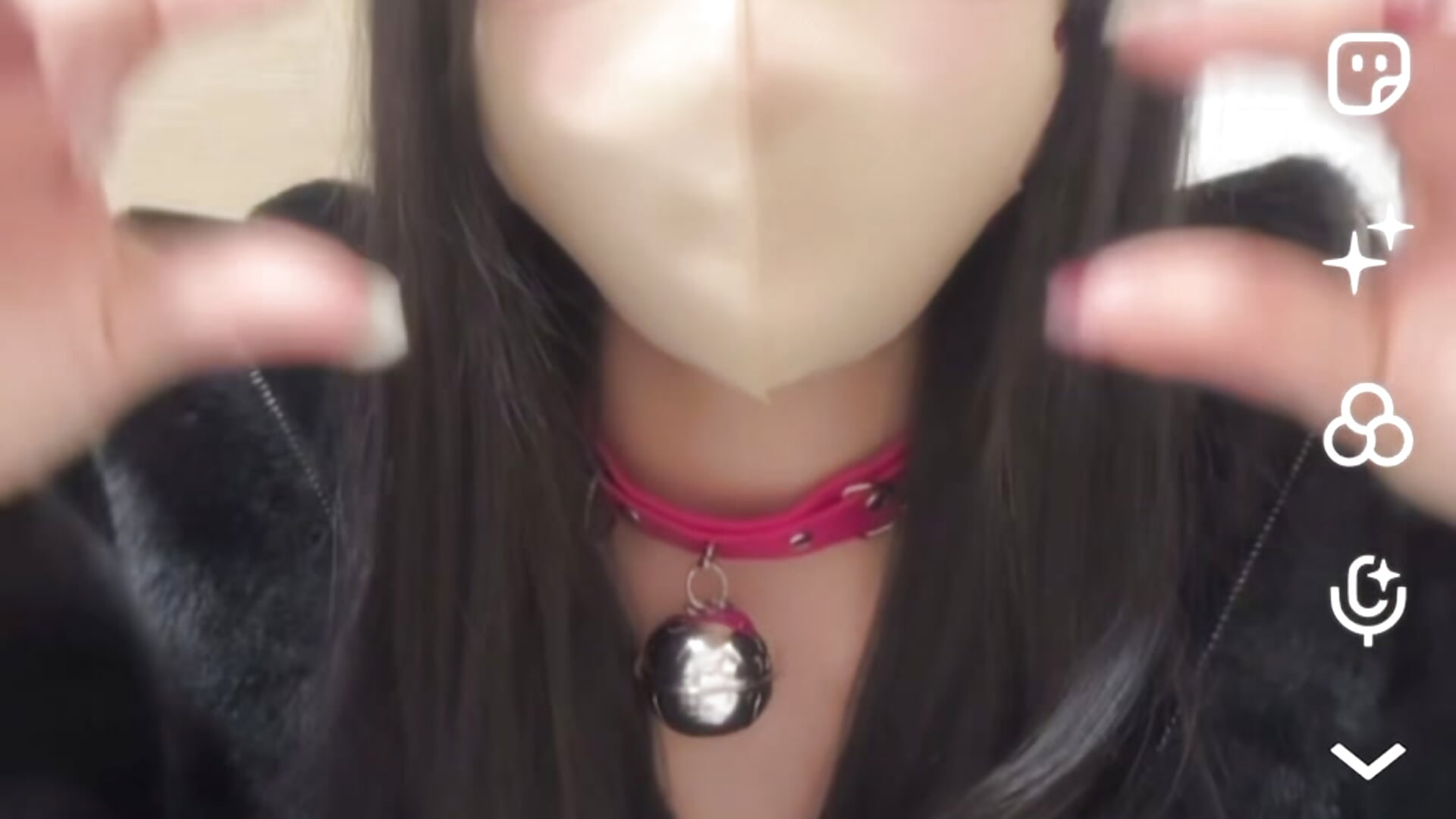 46.猫ダンス😺上手くなってる、、？🤣